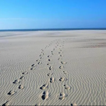 Apartamento In Near The Beach, Cleaning Included Nieuwpoort