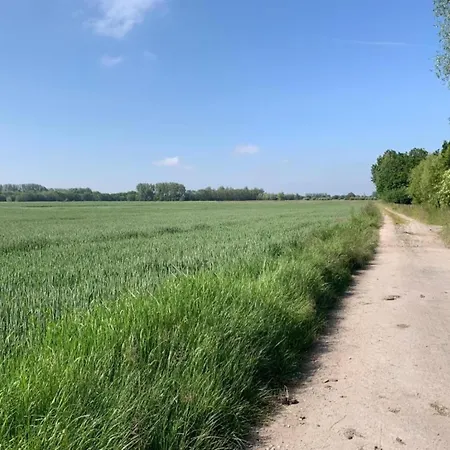 In Near The Beach, Cleaning Included Lägenhet