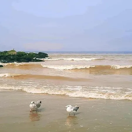 In Near The Beach, Cleaning Included *